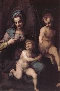 Andrea del Sarto Virgin Mary and Jeusu and John oil